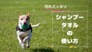 犬シャンプータオル使い方