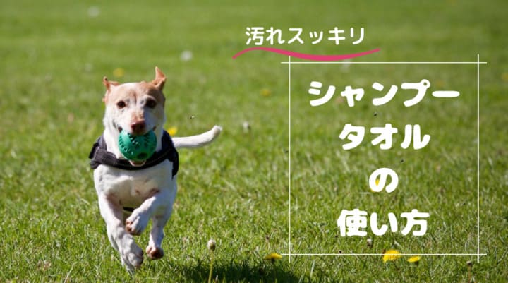 汚れスッキリ】犬のシャンプータオルの使い方｜ブラッシングでふわふわ